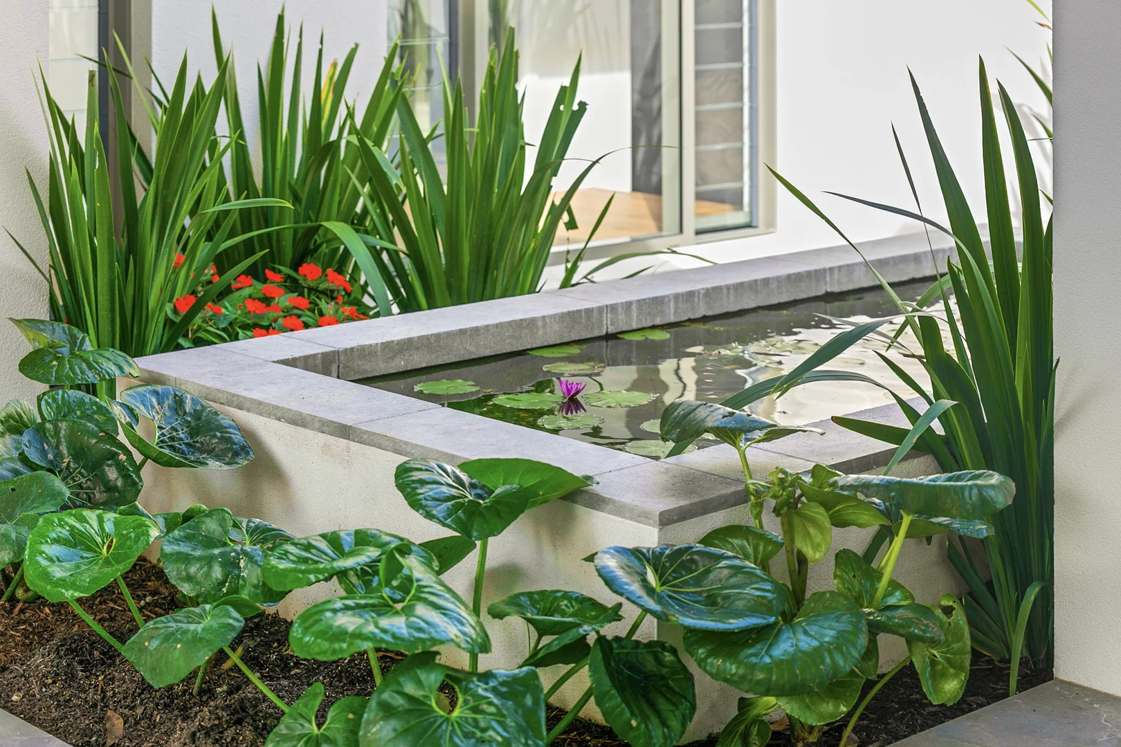 Additional image 17 of 4 Mango Court, Doonan QLD 4562