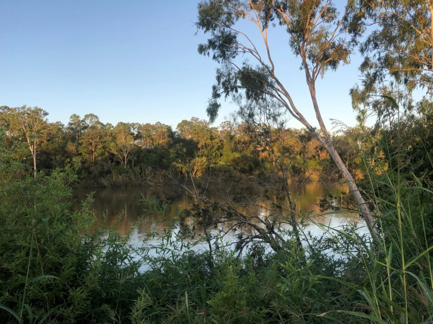 Additional image 4 of 77d Kent Street, Maryborough QLD 4650