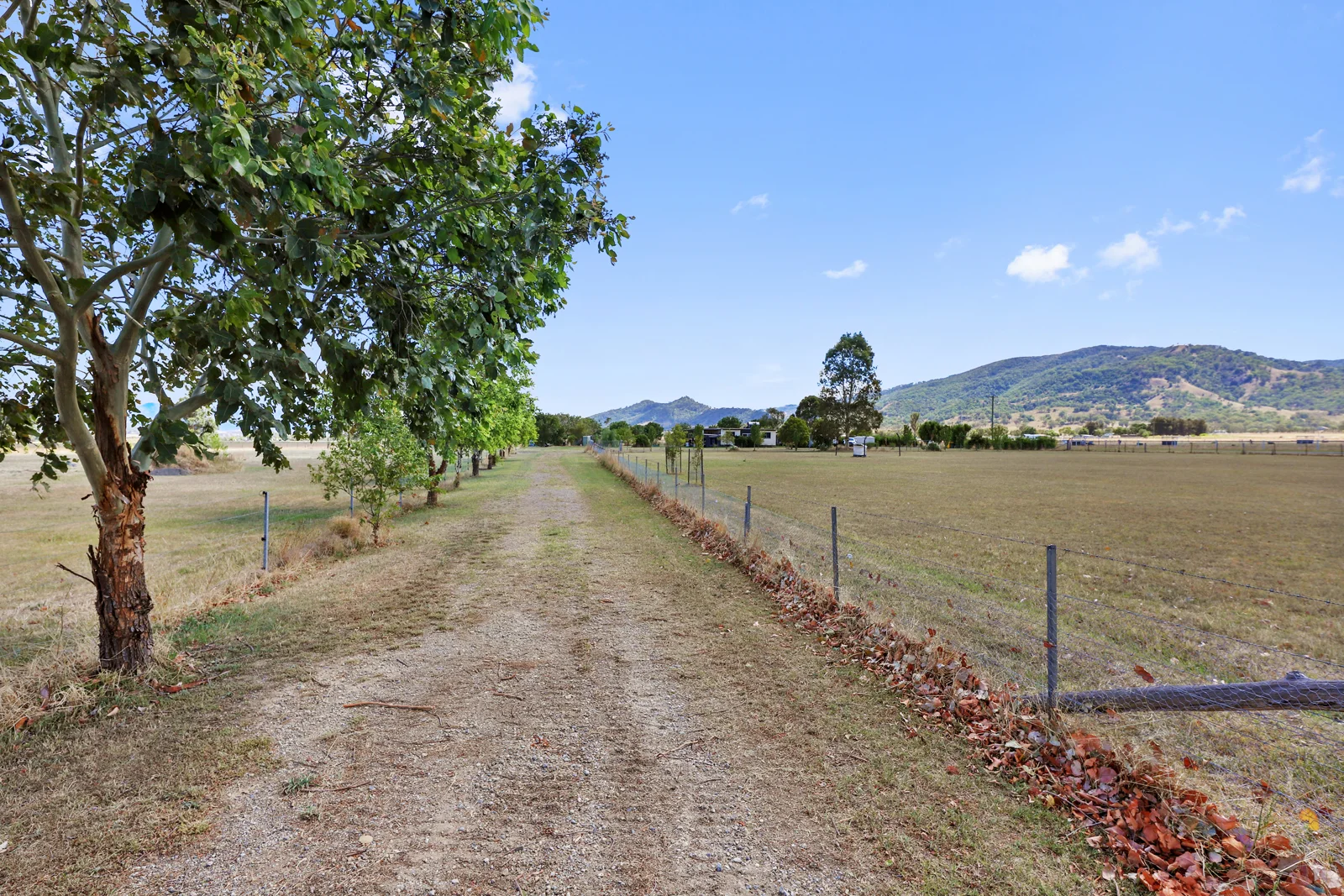 Additional image 13 of 135 Mareeba Road, Scone NSW 2337