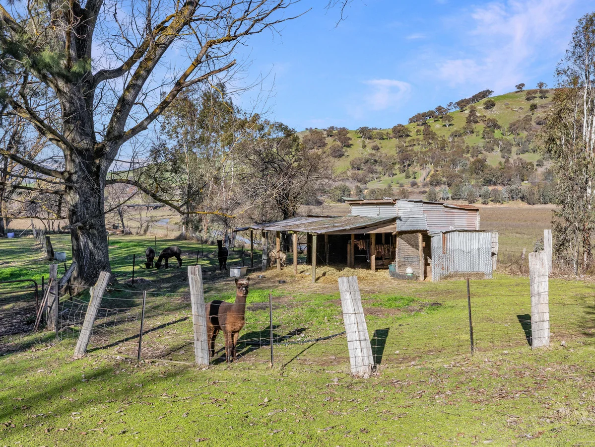Additional image 16 of 14 Gilbert Street, Tallangatta VIC 3700