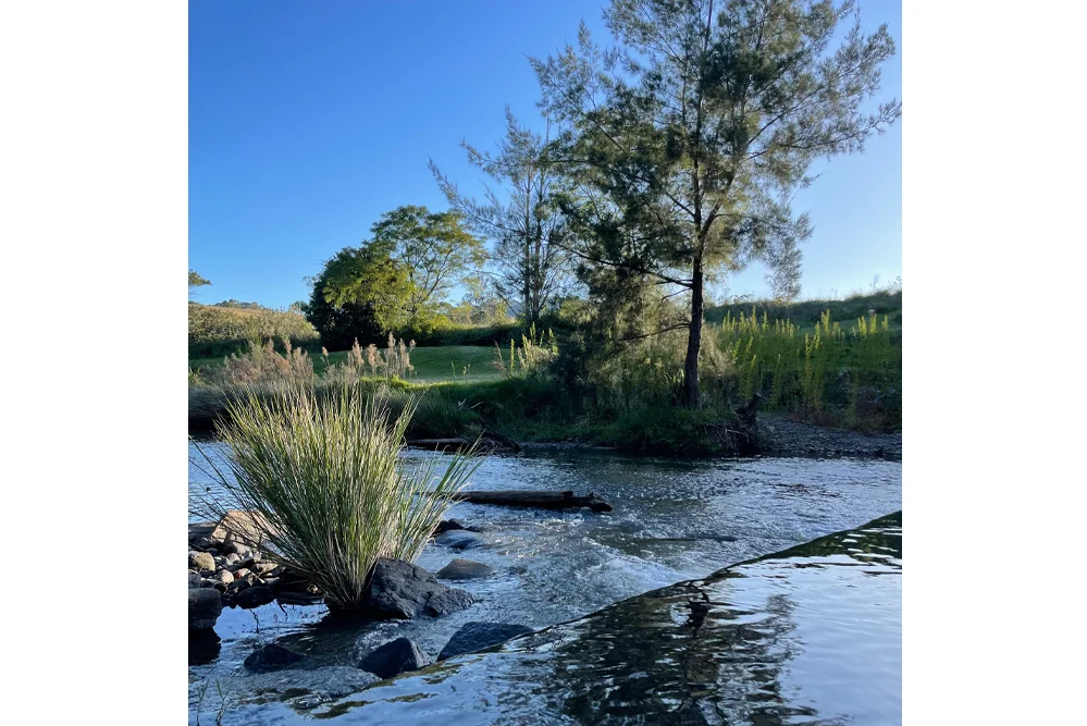 Additional image 27 of 1644 Paterson River Road, Lostock NSW 2311