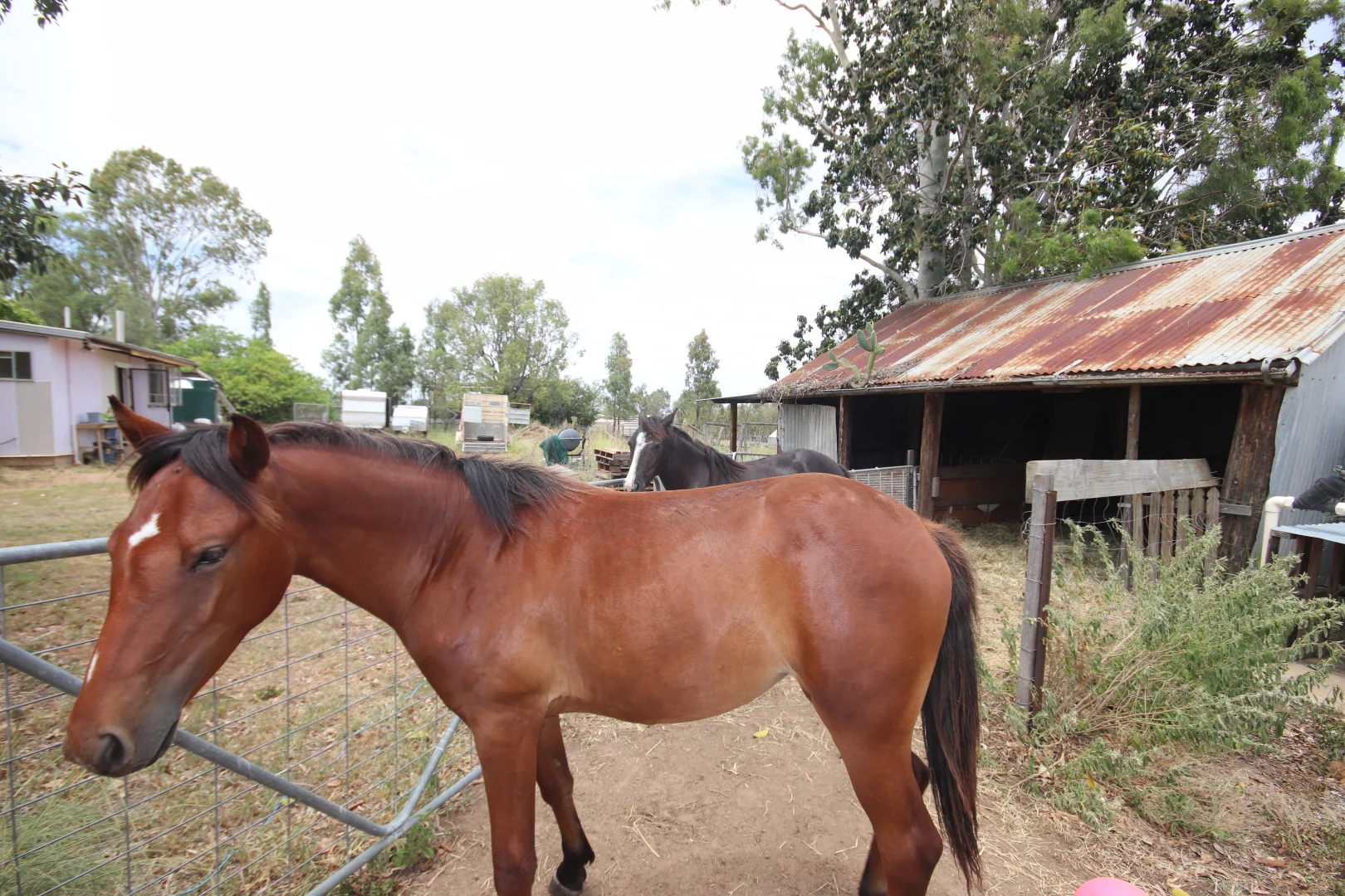 Additional image 17 of 21 Sprys Road, Boynewood, Mundubbera QLD 4626