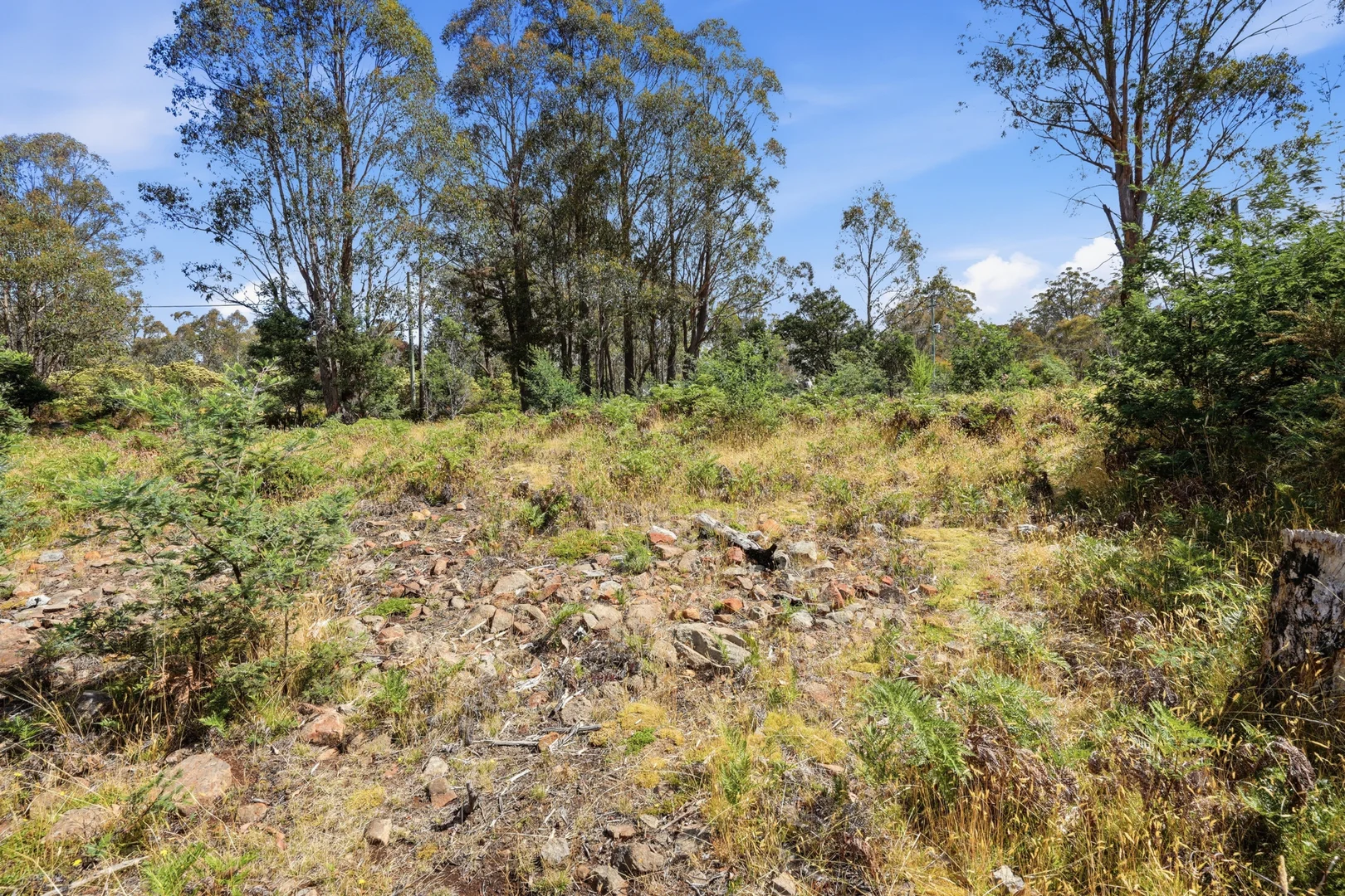 Additional image 7 of 49 Laycock Drive, Interlaken TAS 7030