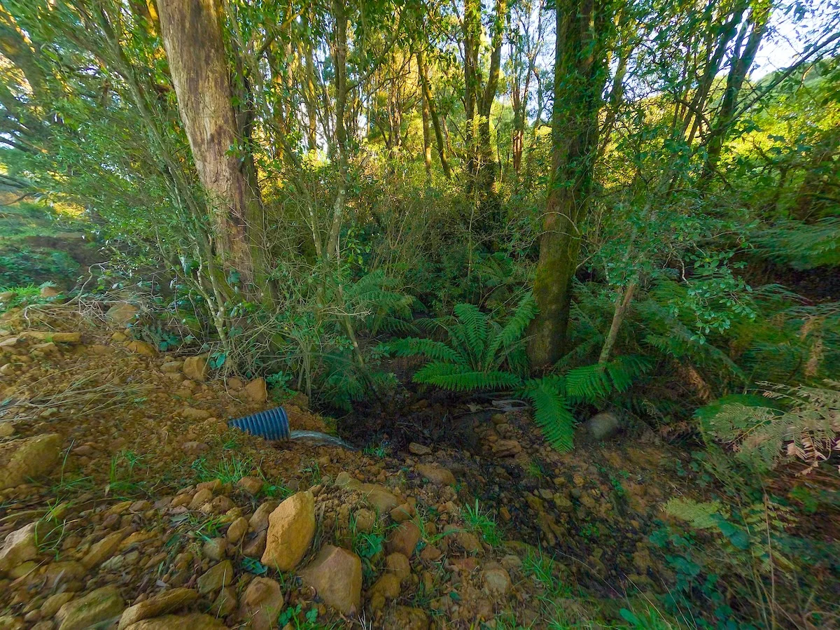 Additional image 20 of 125 Beech Forest - Lavers Hill Road, Beech Forest VIC 3237