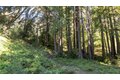 Additional image 33 of 2715 Branciforte Dr, Santa Cruz, CA, 95065