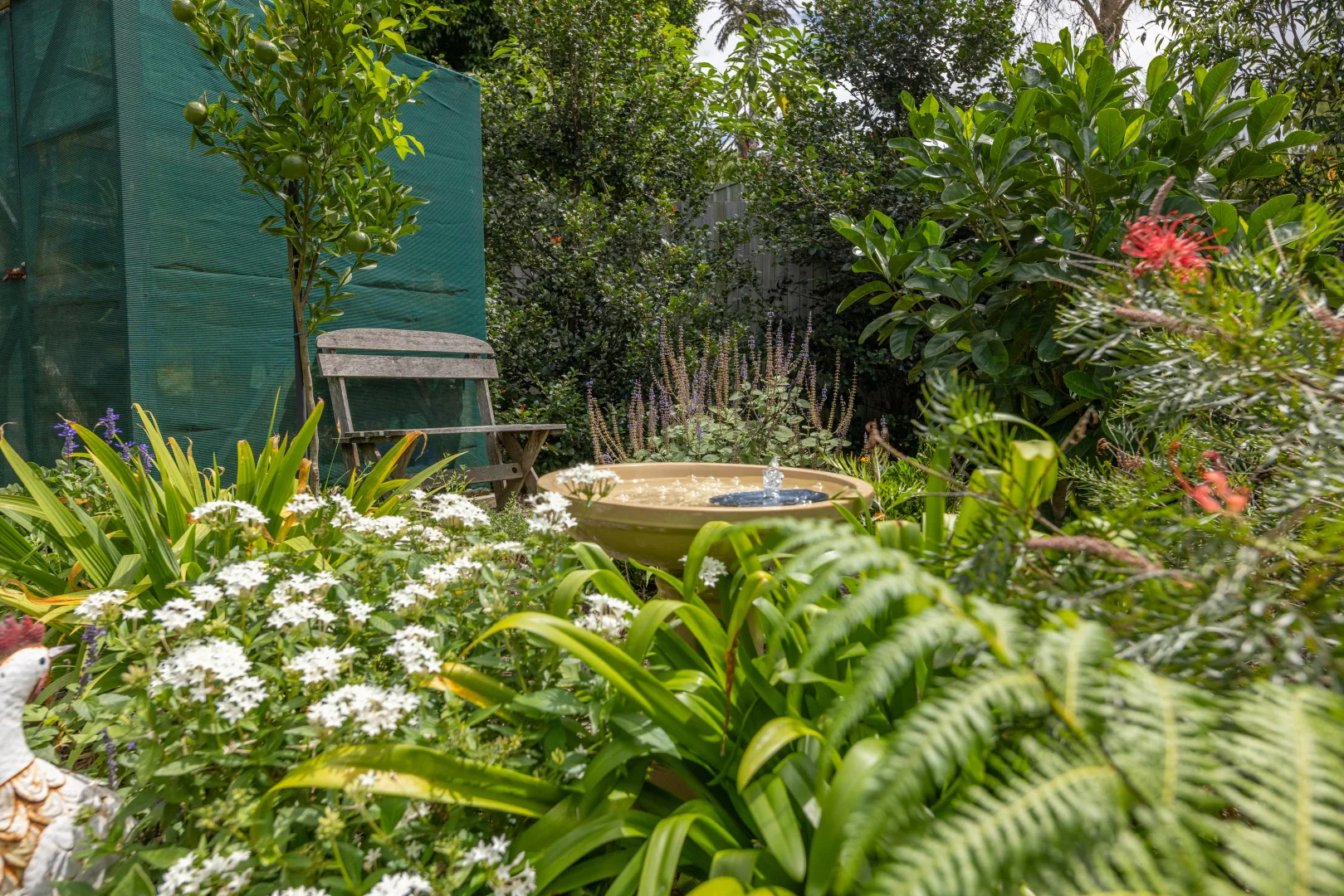 Additional image 17 of 13 Wallis Street, Kilcoy QLD 4515