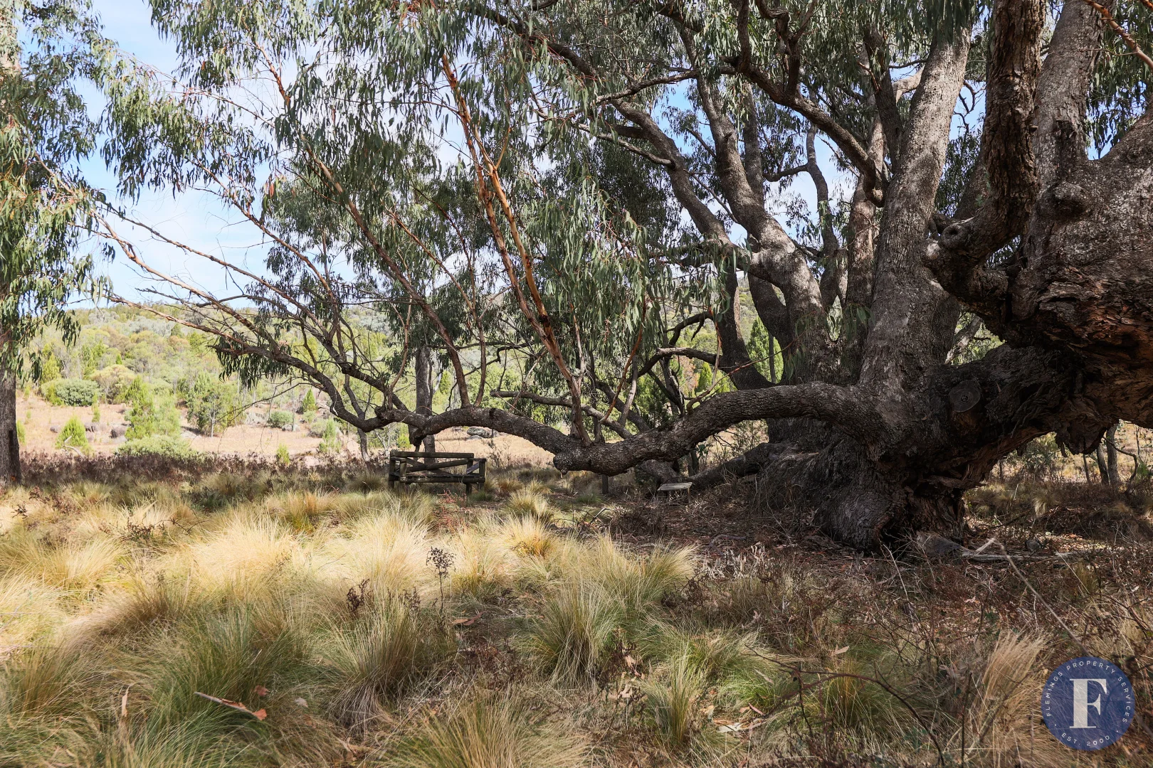 Additional image 10 of 1603 Foggs Crossing Road, Reids Flat NSW 2586