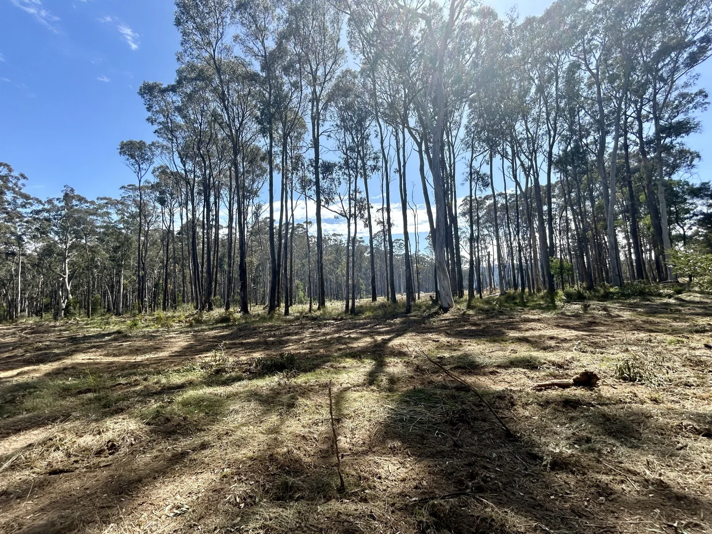 Additional image 9 of 175 Blighs Road, Trentham VIC 3458