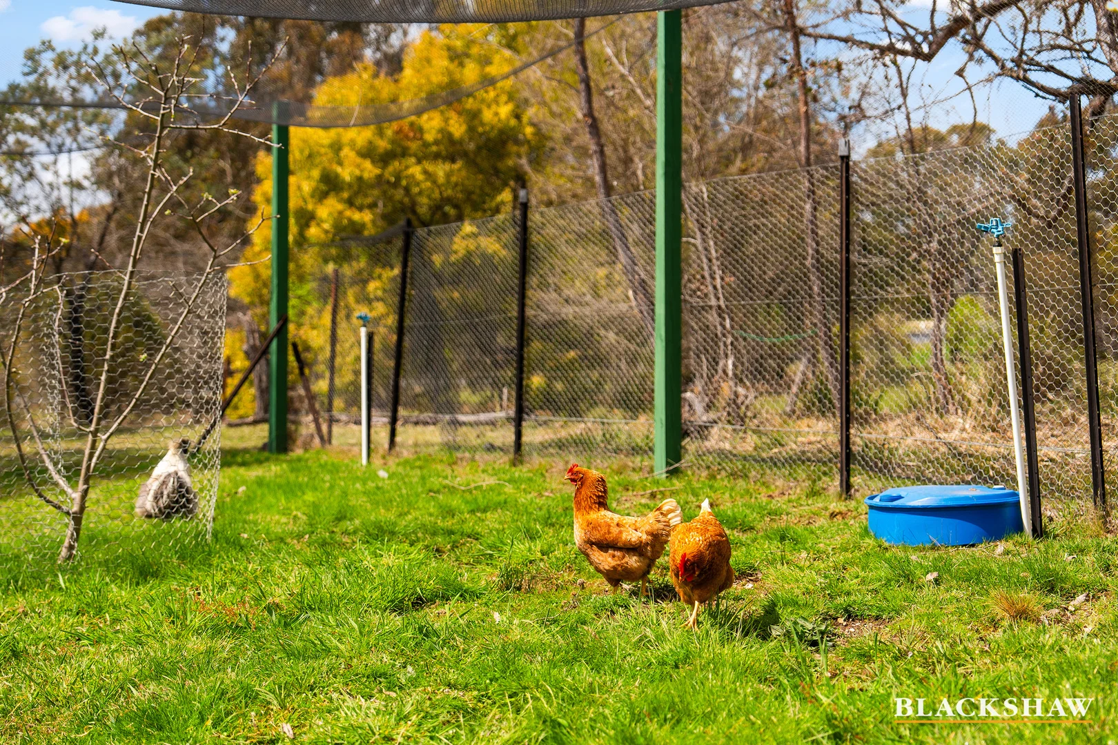 Additional image 21 of 98 Harriott Road, Bywong NSW 2621