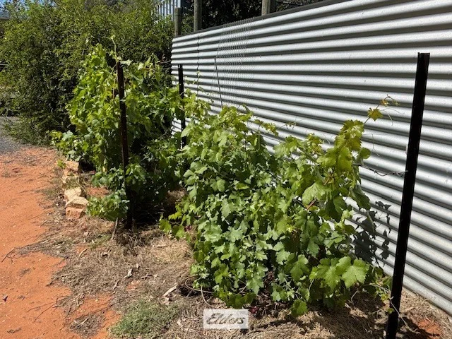 Additional image 33 of 9-11 Tarcoola Street, Pooncarie NSW 2648