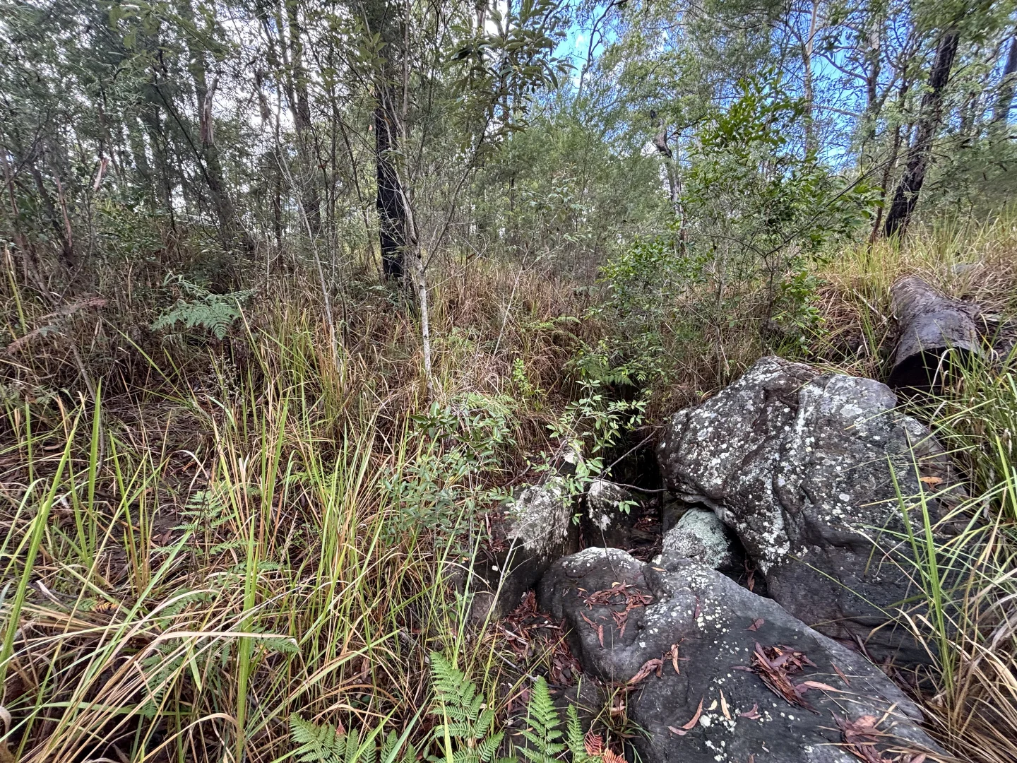 Additional image 20 of 337 Clearview Road, Coutts Crossing NSW 2460