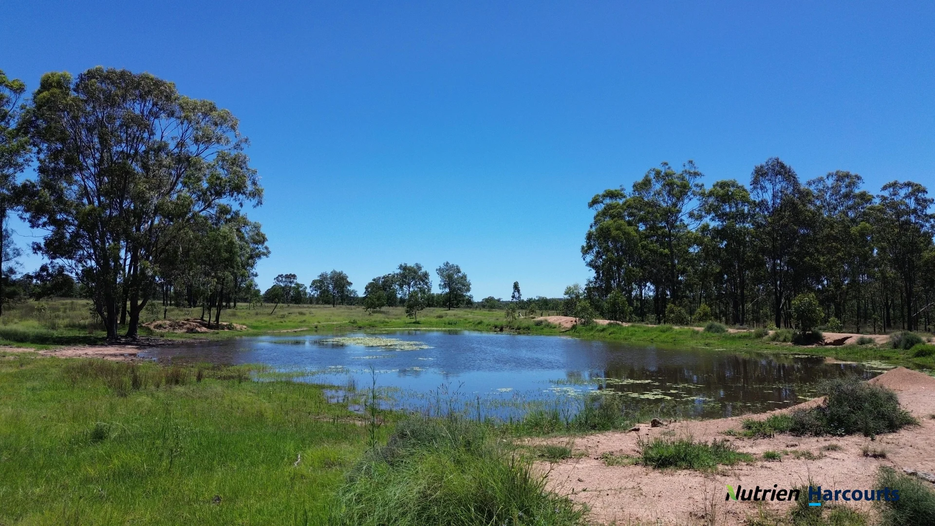 Additional image 19 of 960 Dangore Mountain Road, Dangore QLD 4610