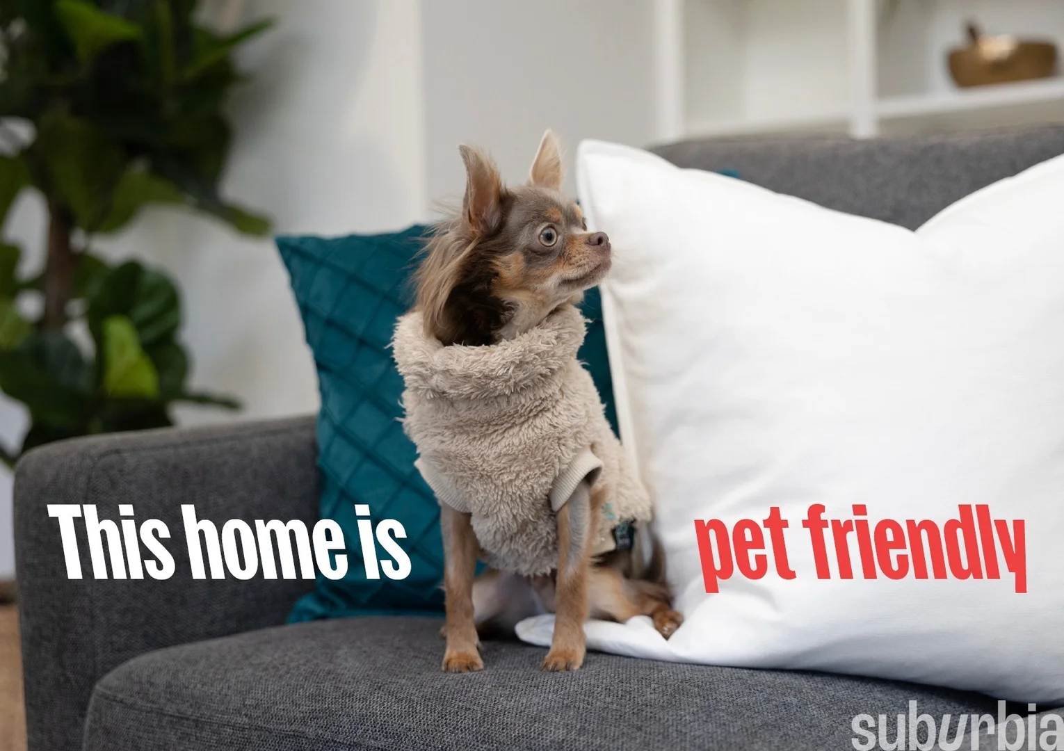 Additional image 18 of 12/2-4 Wedge Crescent, Turner ACT 2612