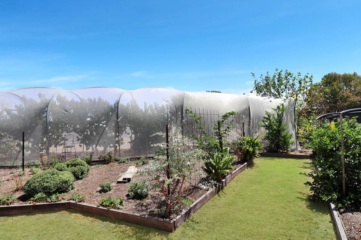 Additional image 23 of 26 Burton Crescent, Stanthorpe QLD 4380