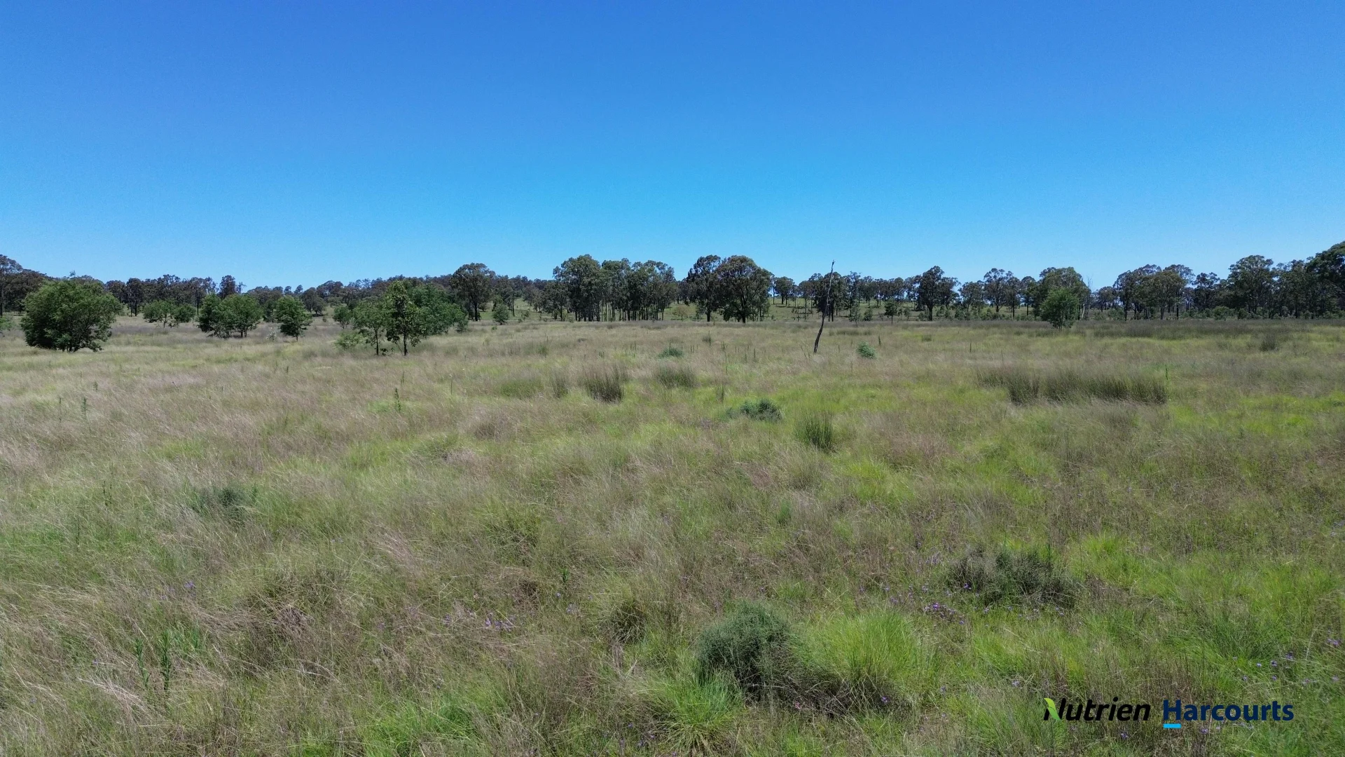 Additional image 17 of 960 Dangore Mountain Road, Dangore QLD 4610