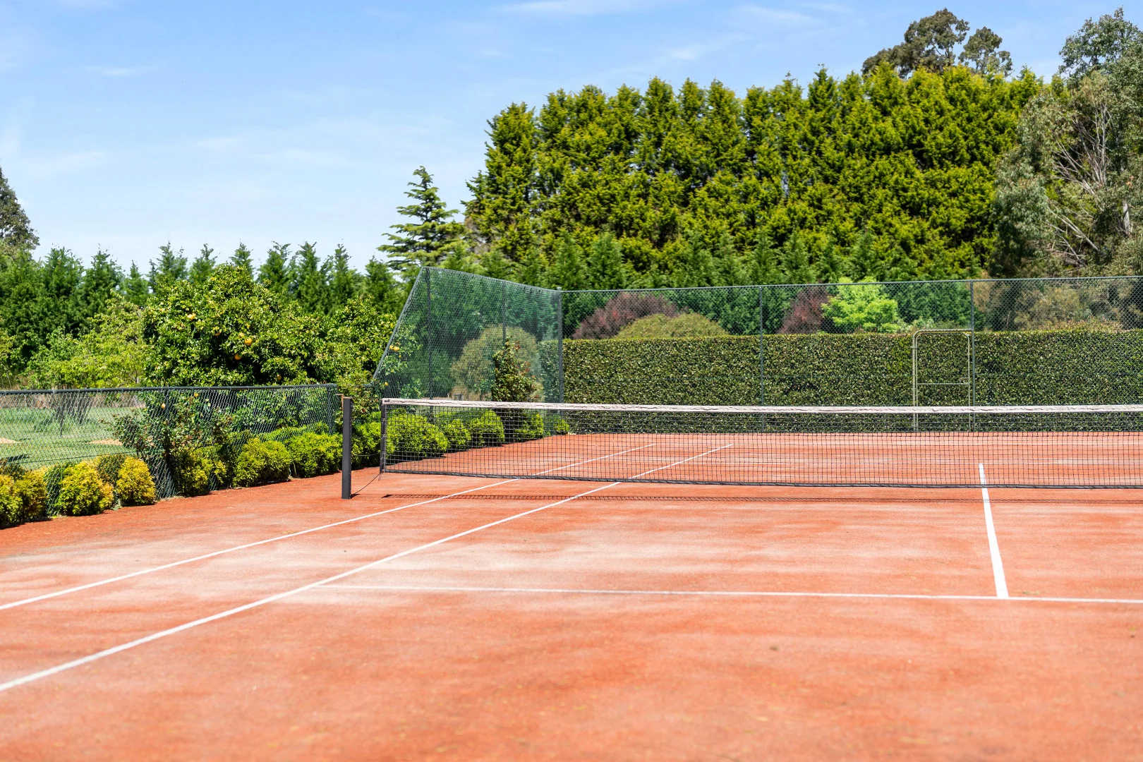 Additional image 30 of 7361 Illawarra Highway, Sutton Forest NSW 2577