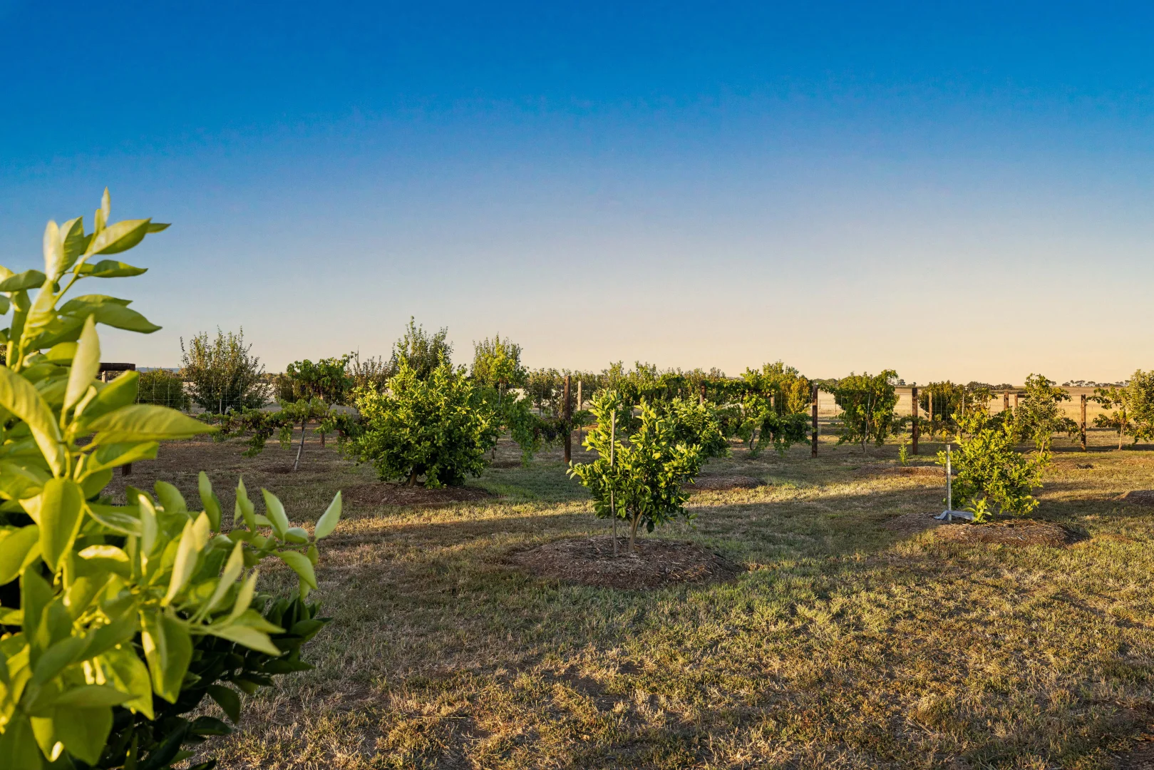 Additional image 16 of 403 Dry Plains Road, Strathalbyn SA 5255