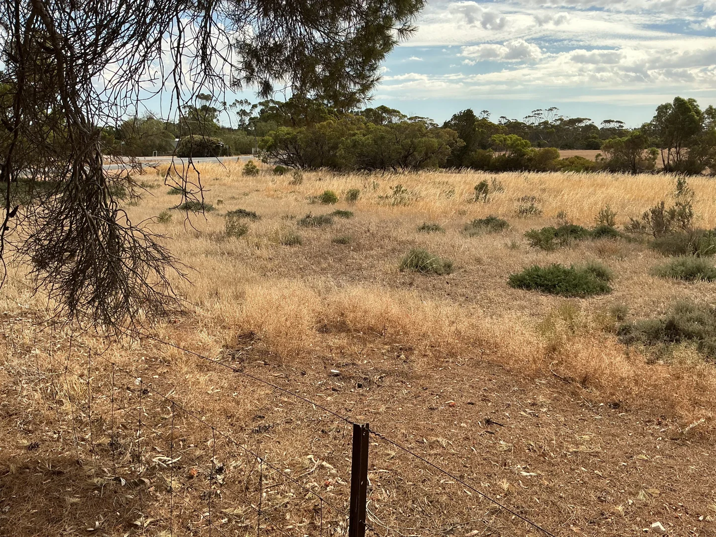 Additional image 20 of 963 Pinery Road, Pinery SA 5460