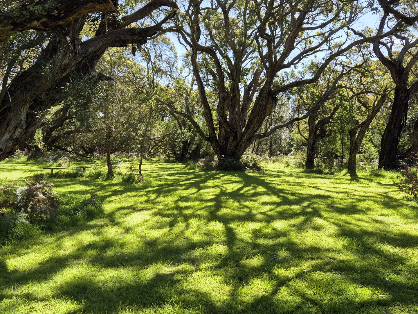 Additional image 11 of 417 McBurnie and Boags Road, Tarwin Lower VIC 3956