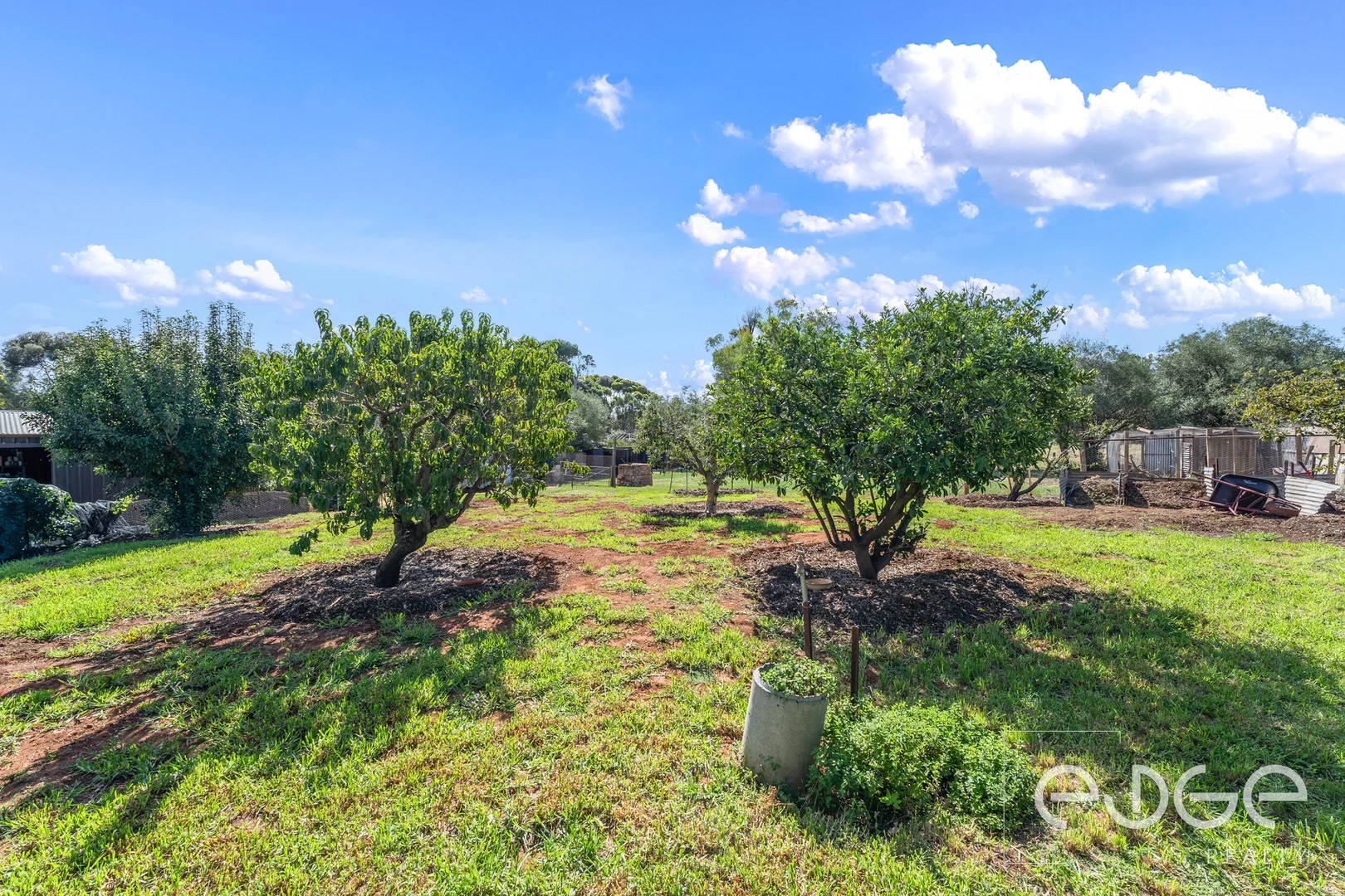 Additional image 25 of 9 Oldham Street, Tarlee SA 5411