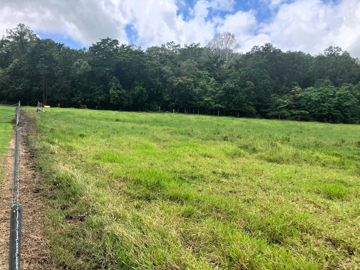 Additional image 2 of 24 Paskins Road, Yalboroo QLD 4741