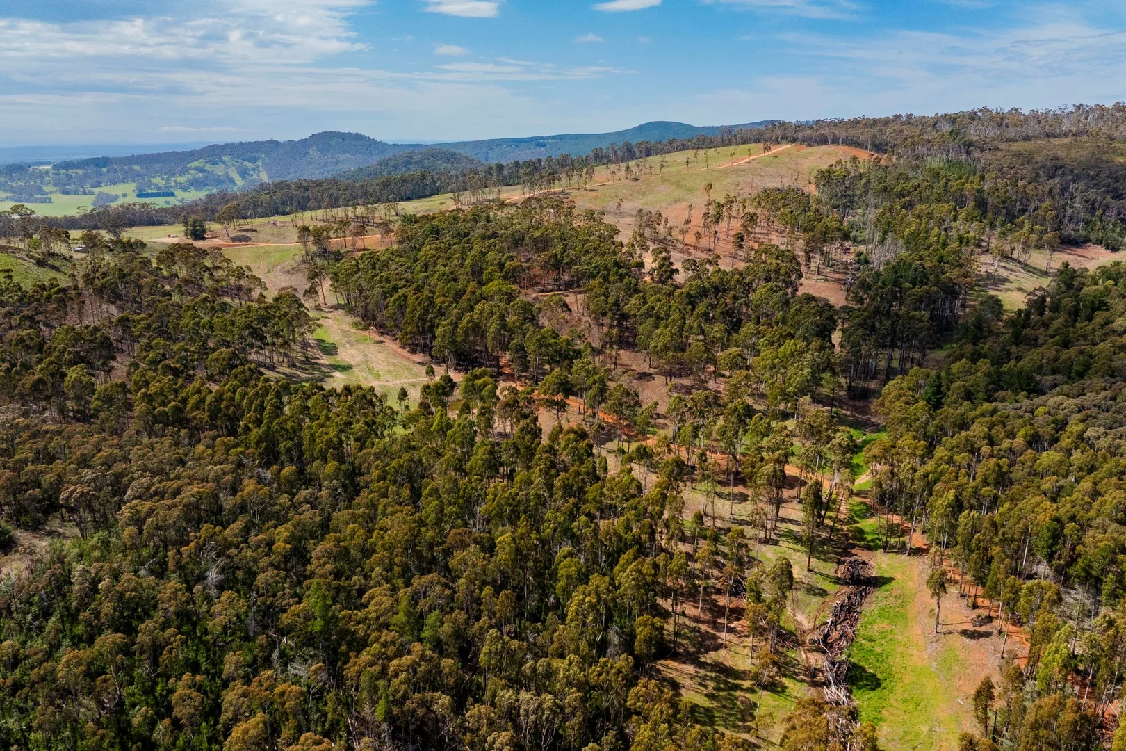 Additional image 8 of 1606 Mount Canobolas Road, Orange NSW, Orange NSW 2800