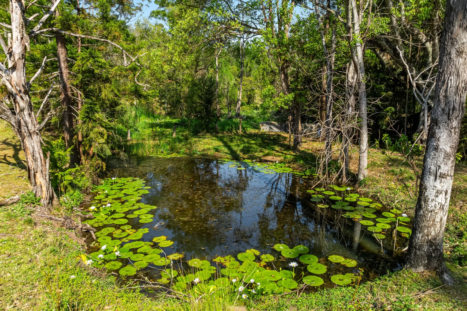 Additional image 10 of 300 Quilty Road, Rock Valley NSW 2480