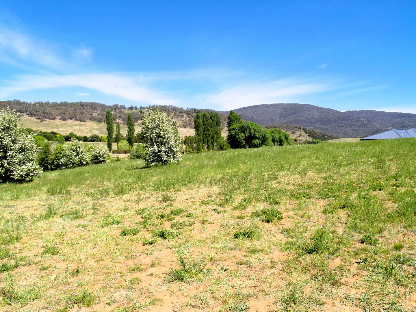 Additional image 8 of 28 Ryrie Street, Michelago NSW 2620