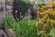 Additional image 4 of Jeffreys Road, London SW4