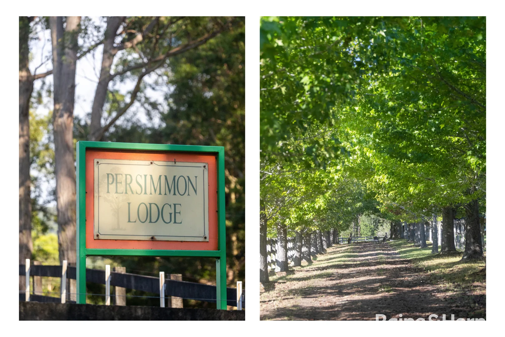 Additional image 5 of 56 Bawley Point Road, Termeil NSW 2539