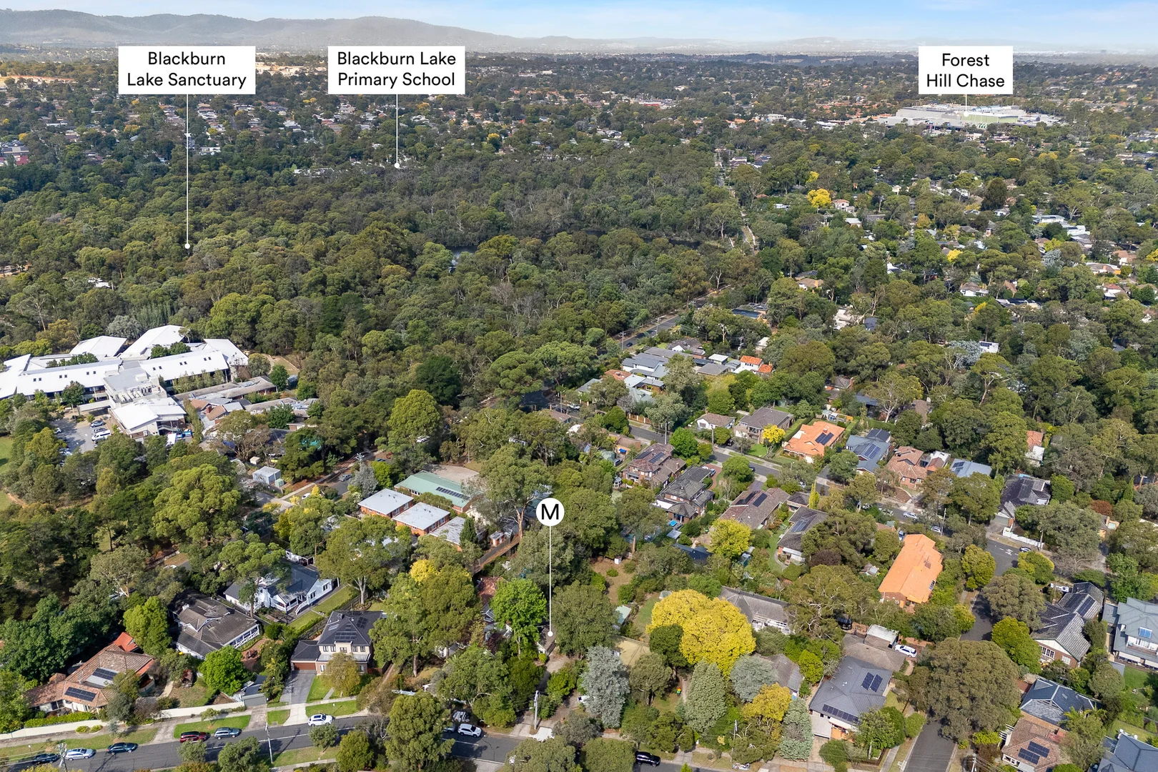 Additional image 13 of 38 Wellington Avenue, Blackburn VIC 3130