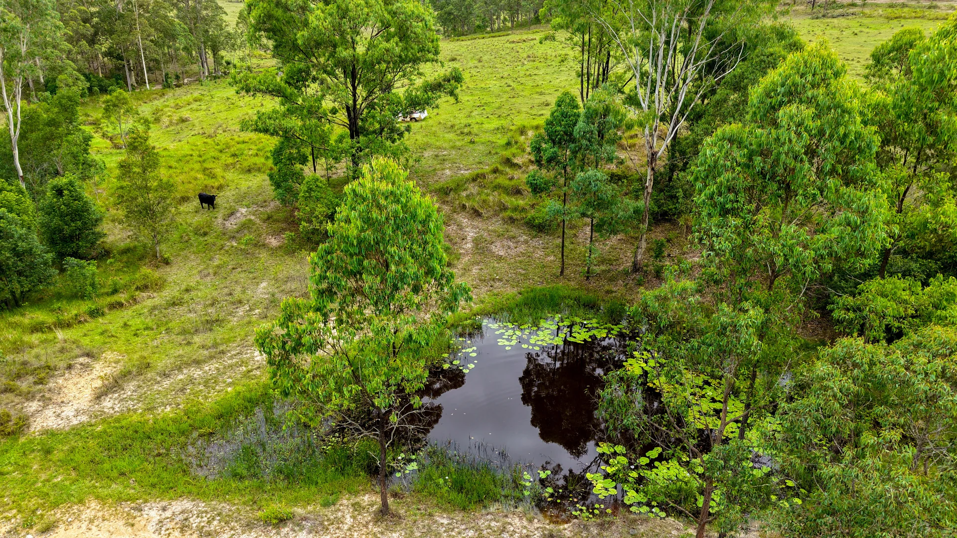 Additional image 27 of 198 Bow Hill Road, Dollys Flat NSW 2429