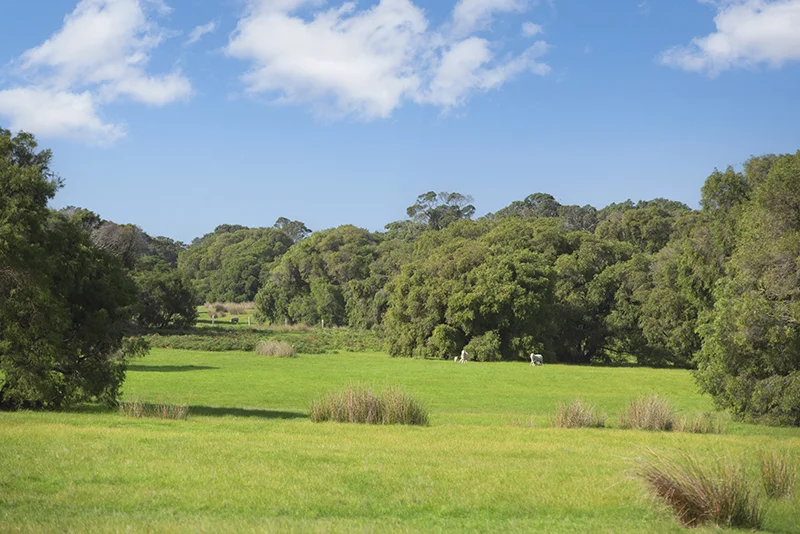 Additional image 3 of Lot 39 Blackwood Grove, Kudardup WA 6290