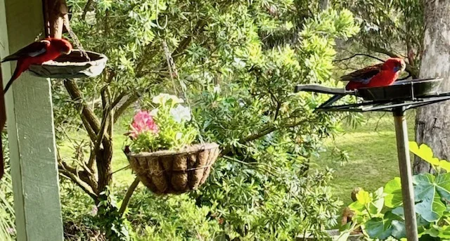 Additional image 22 of 32 L L Road, Officer VIC 3809