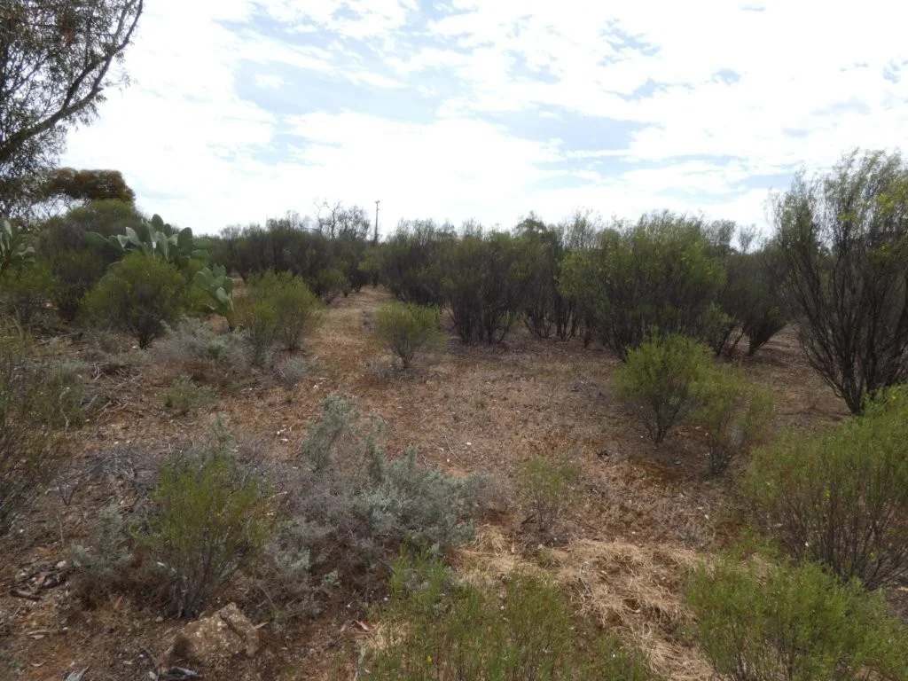 Additional image 8 of Lascelles St, Rosebery VIC 3395