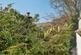 Additional image 32 of Mount Quharrie, Garth Row, Kendal, Cumbria, LA8 9AT
