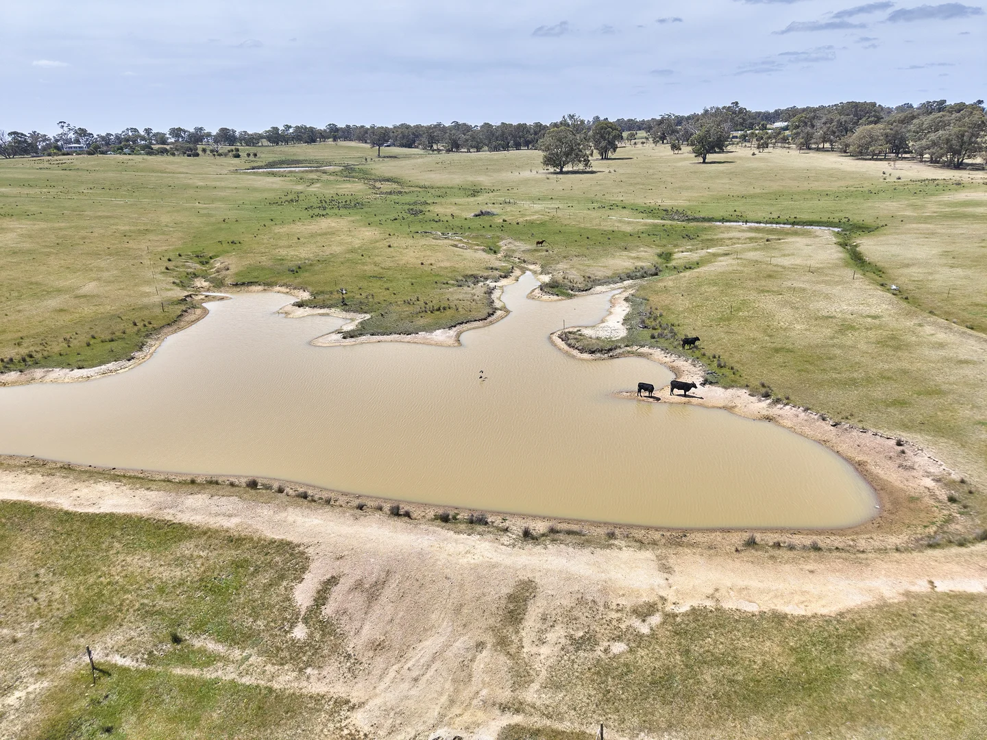 Additional image 41 of 211 Drummonds Lane, Heathcote VIC 3523