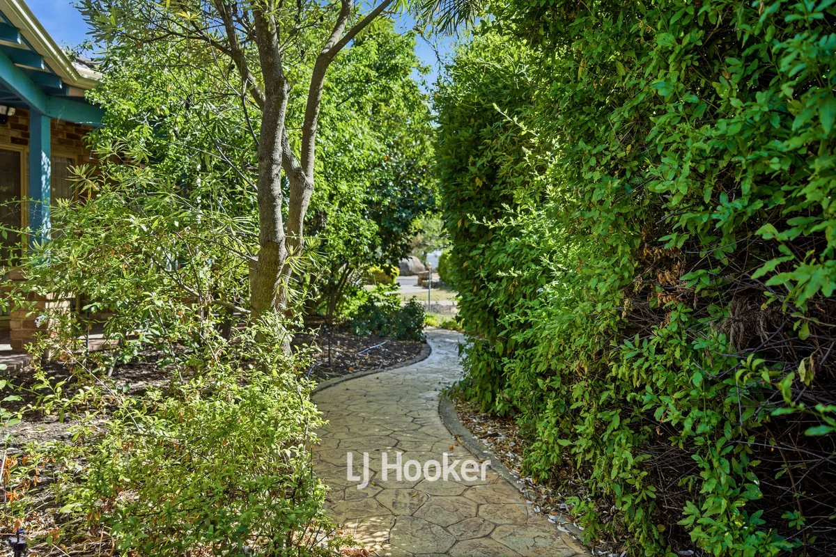 Additional image 25 of 305 Steere Street North, Collie WA 6225