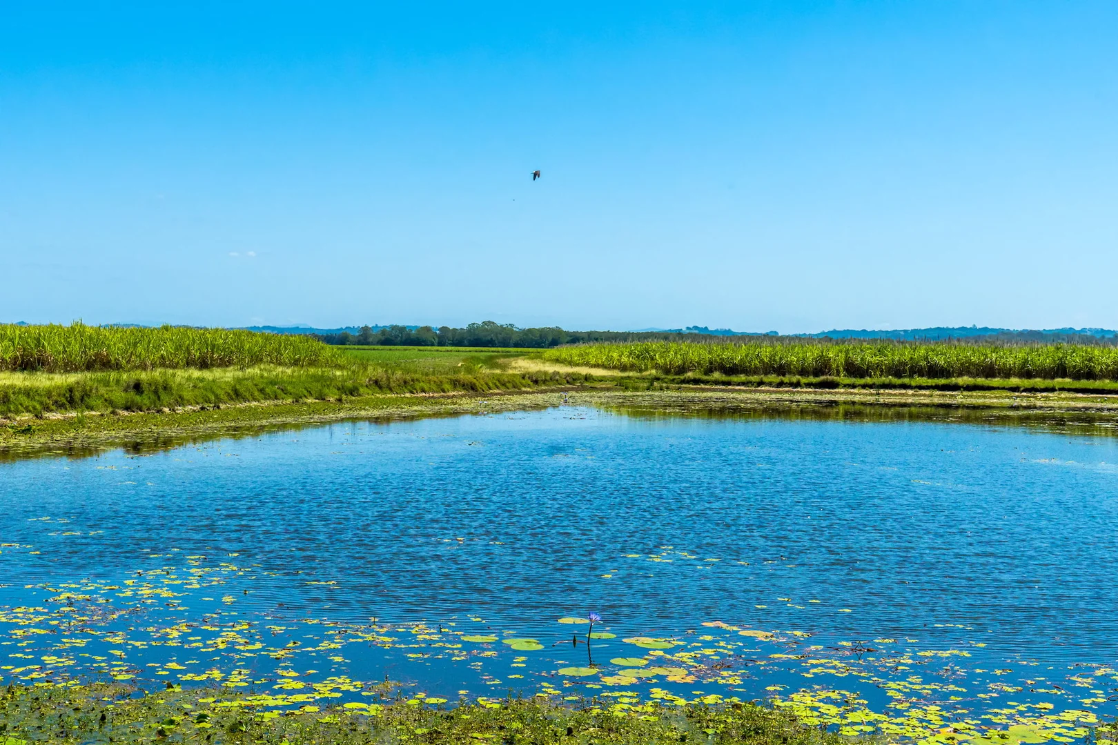 Additional image 21 of 354 Broadwater Road, Dungarubba NSW 2480