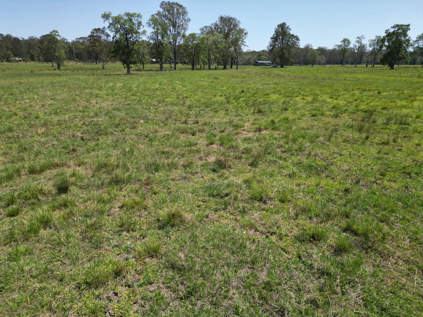 Additional image 20 of 140 Hogarth Range Road, Mongogarie NSW 2470