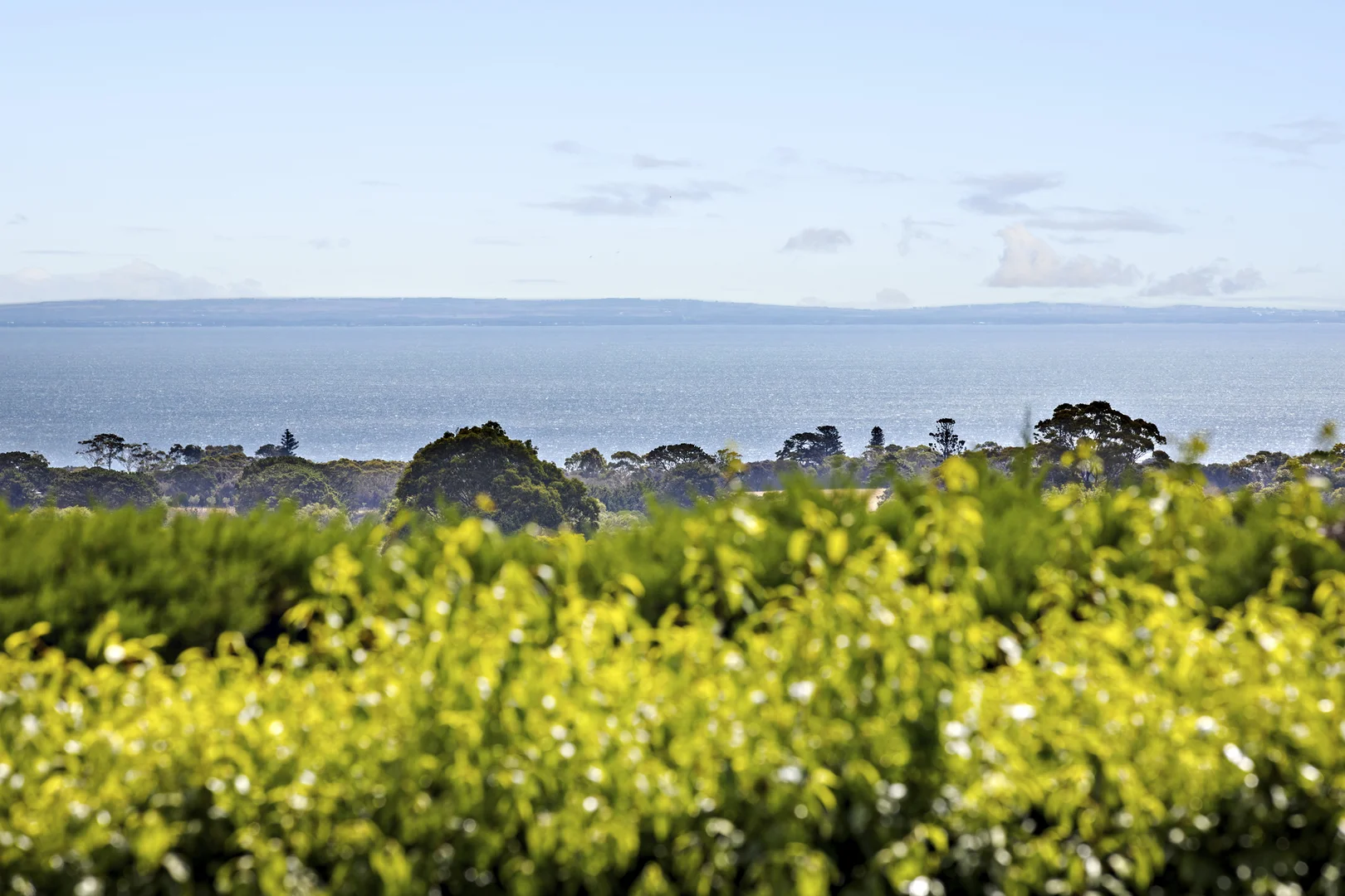 Additional image 3 of 148 Wooralla Drive, Mount Eliza VIC 3930