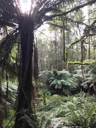 Additional image 3 of 2 Murchison Highway, Rosebery TAS 7470