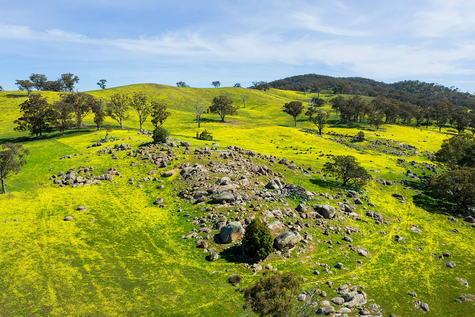 Additional image 19 of 225 Nuggetty Road, Maldon VIC 3463