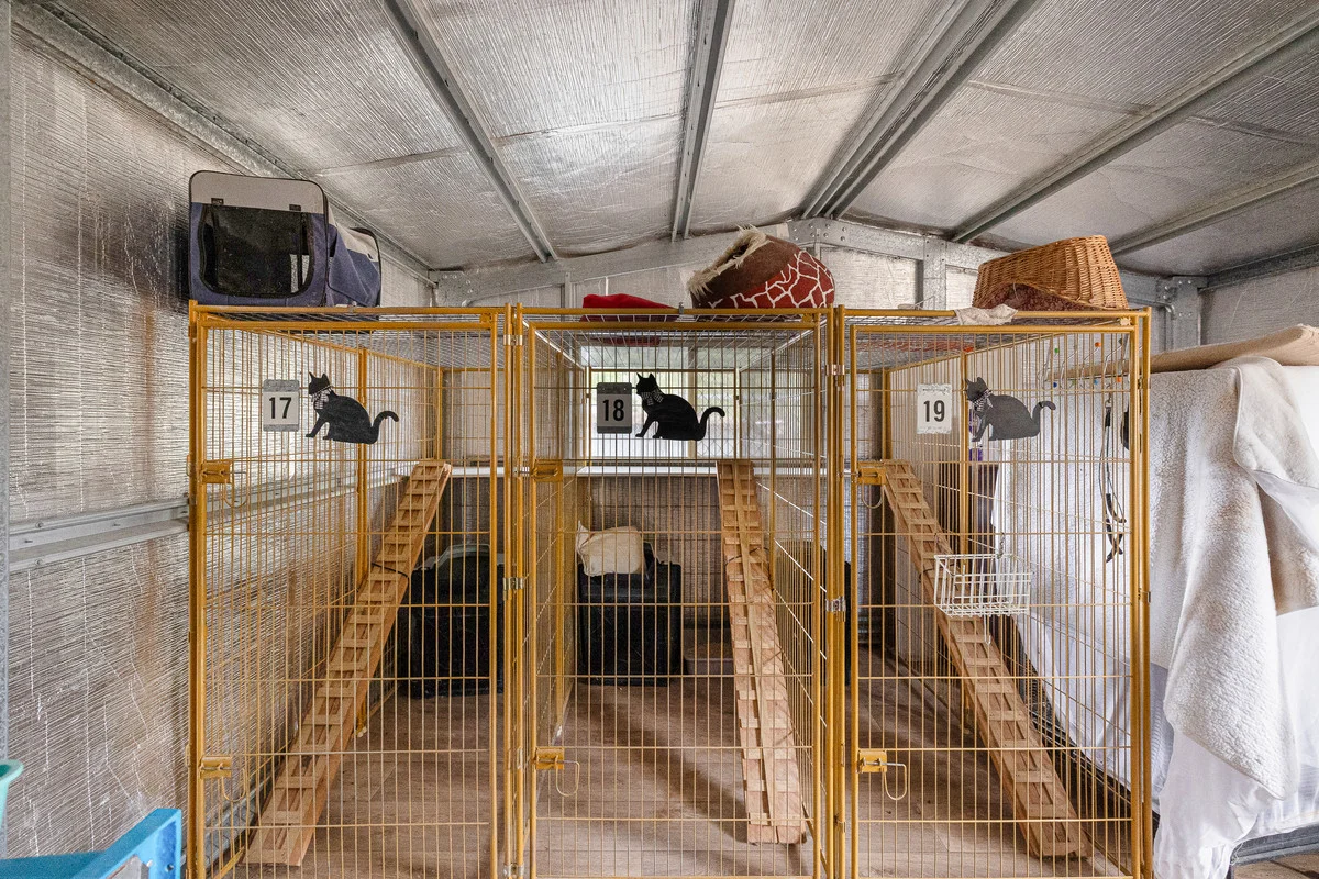 Additional image 5 of 9834 Newell Highway, Narrabri NSW 2390