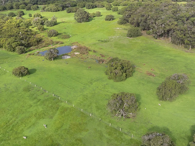 Additional image 11 of Lot 39 Blackwood Grove, Kudardup WA 6290