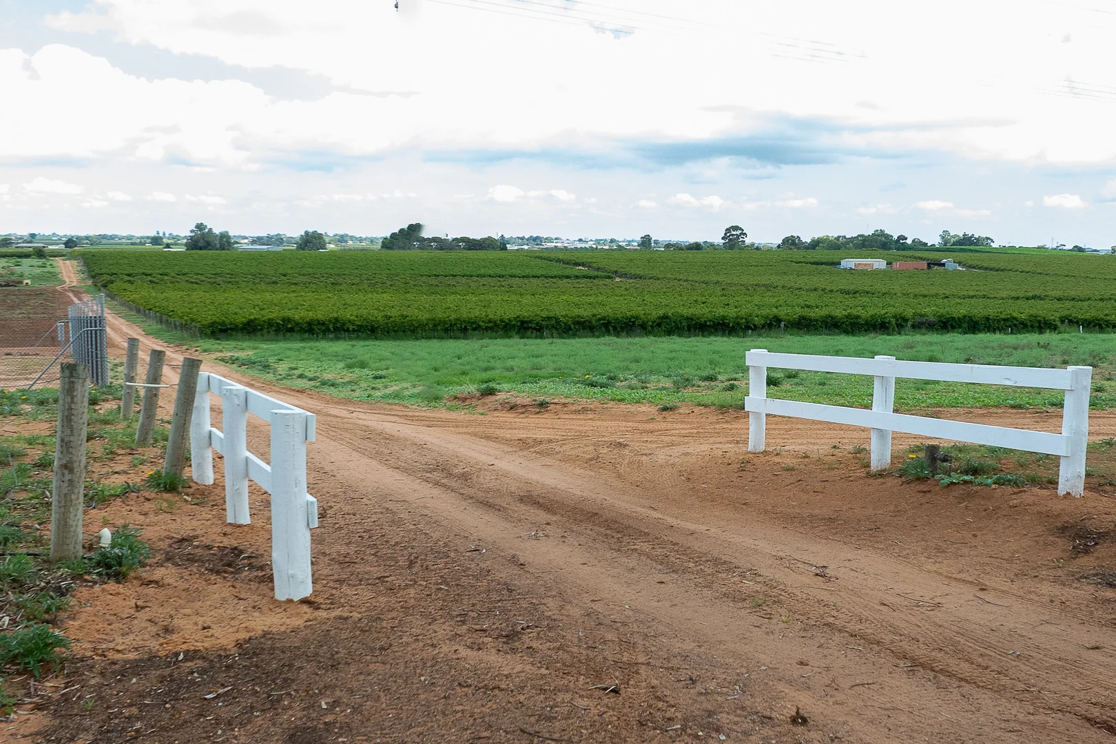 Additional image 2 of Lot 11 Anderson Road, Loxton SA 5333