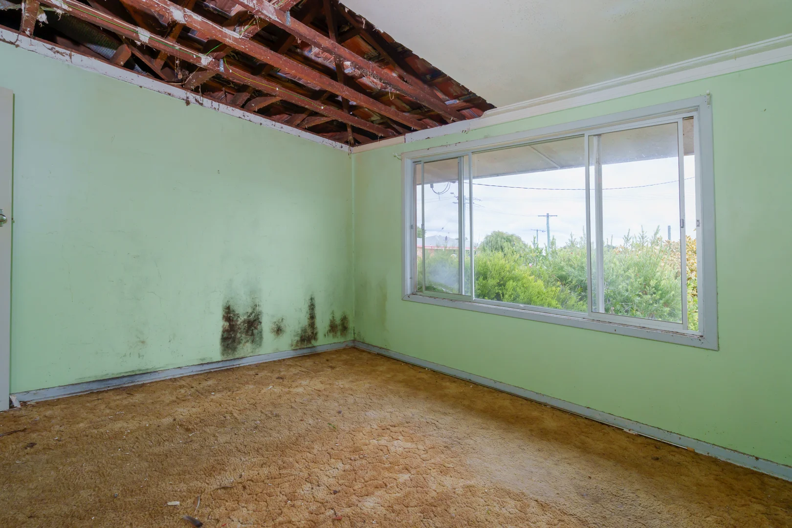 Additional image 11 of 53 Leman Street, Manjimup WA 6258