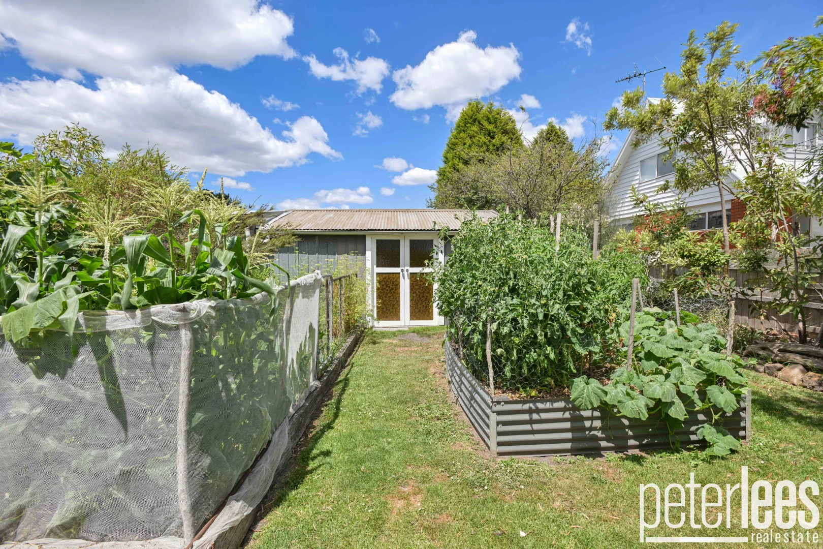 Additional image 23 of 205 Paper Beach Road, Swan Point TAS 7275