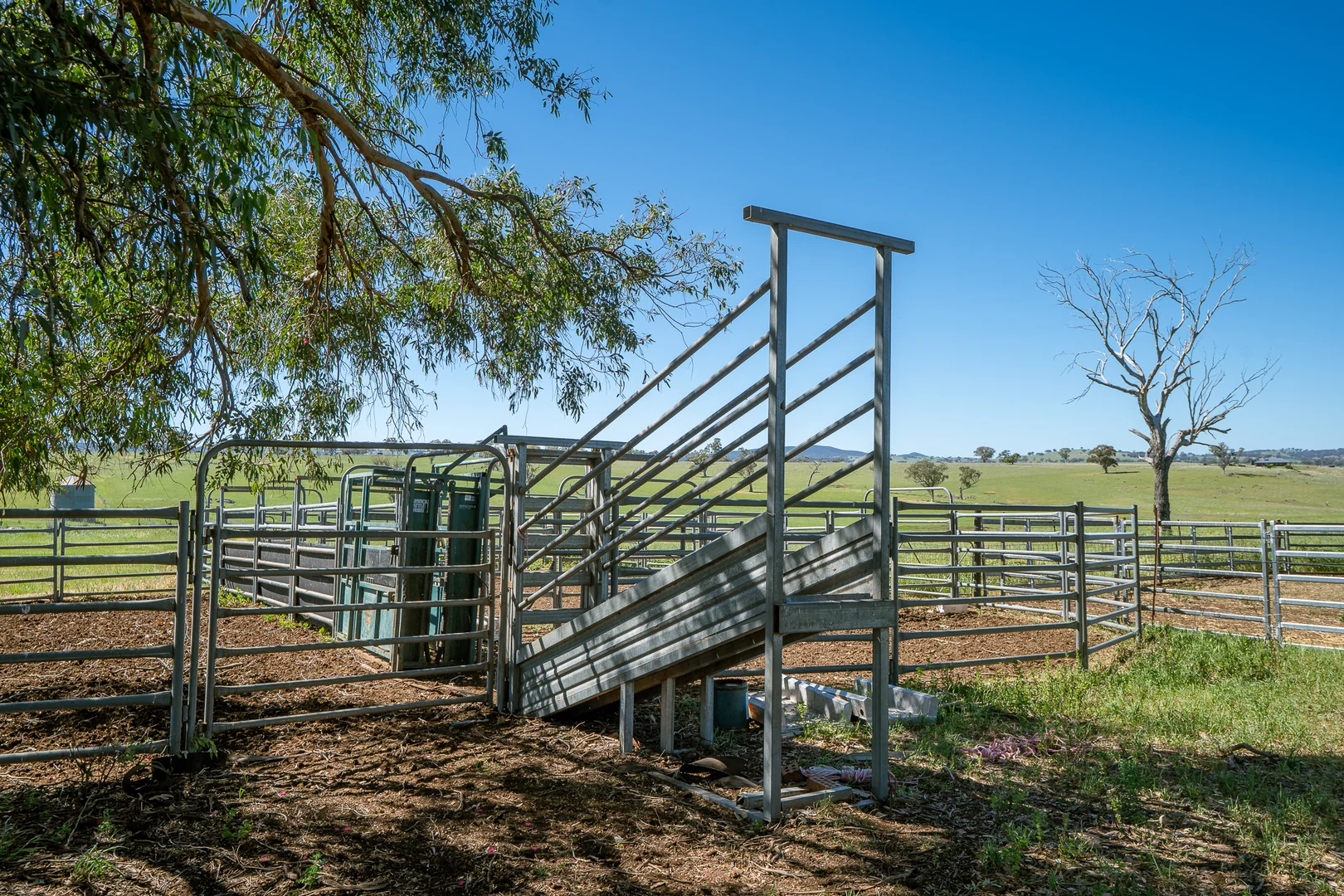 Additional image 13 of 1097 Davys Plains Road, Cudal NSW 2864