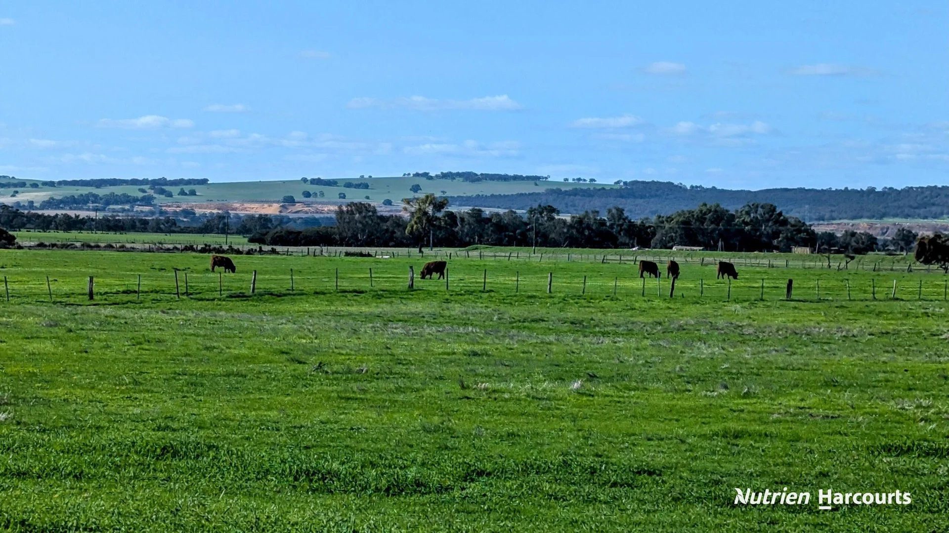 Additional image 36 of 271 Mayfield Road (Beermullah), Gingin WA 6503